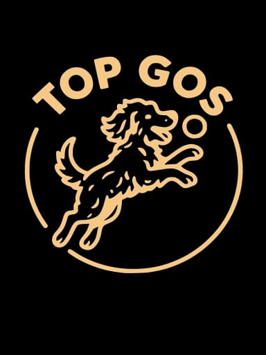 Top Gos logo