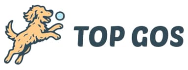 Top Gos logo